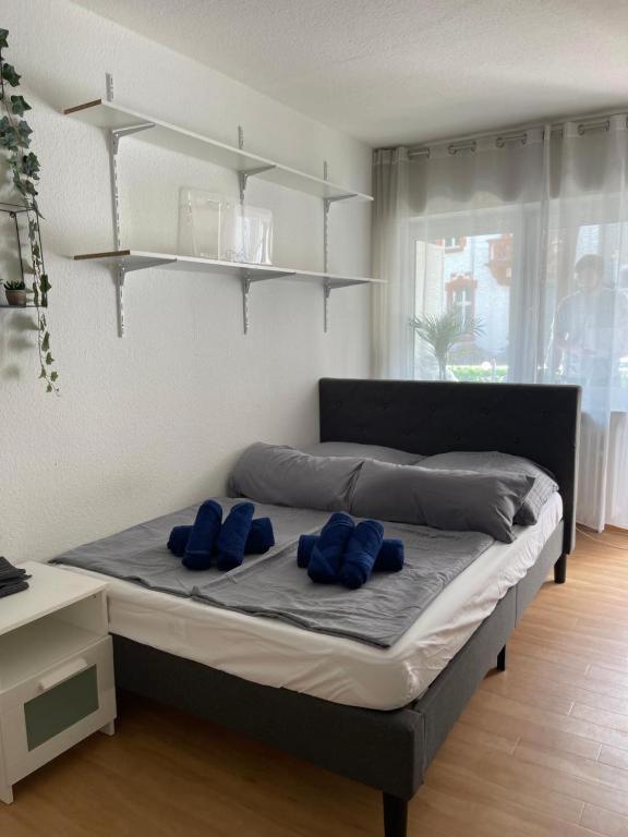 Romerpfad - Modern Studio Apartment 特里尔 外观 照片