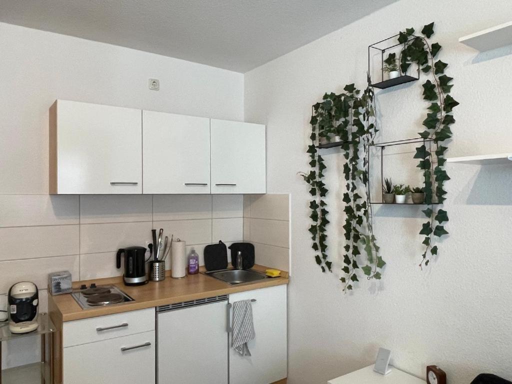 Romerpfad - Modern Studio Apartment 特里尔 外观 照片